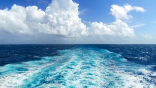 At Sea