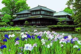 Kumamoto (Yatsushiro), Japan