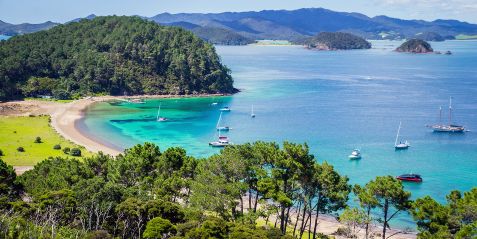 Bay Of Islands, New Zealand- Tender 