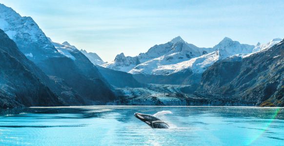 Glacier Bay 