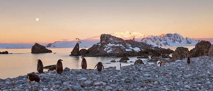 Antarctic Peninsula and South Shetland Islands