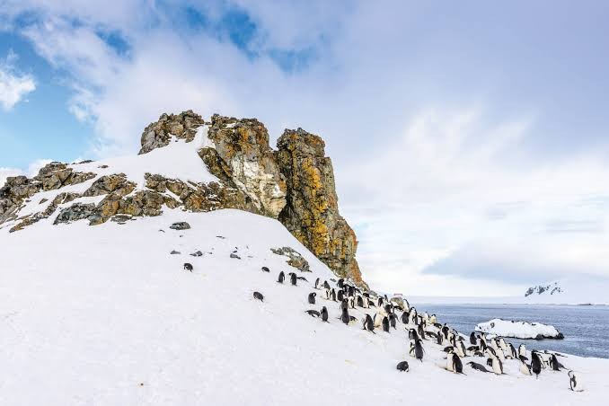 Antarctic Peninsula and South Shetland Islands