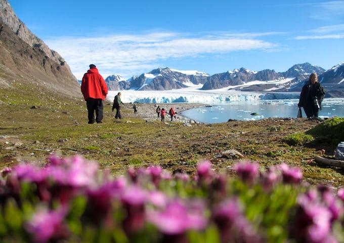 Arctic Tundra