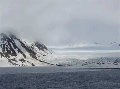 Bellsund: Fjords, glaciers, birds and snow-capped mountains