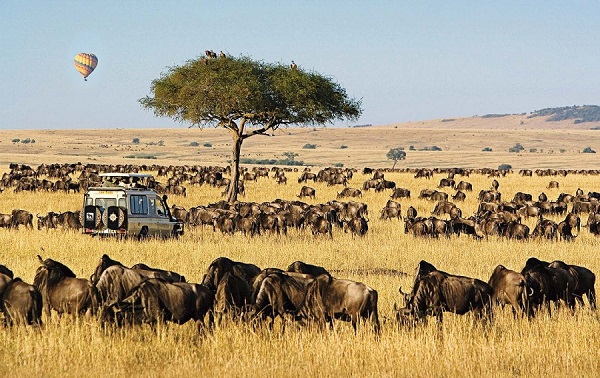 Lake Naivasha/Elementaita – Masai Mara Game Reserve
