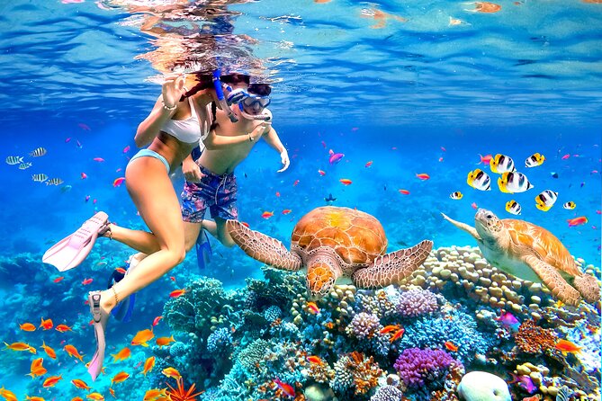 Mnemba Island Snorkeling Tour