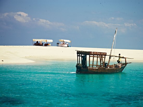 Safari Blue Experience