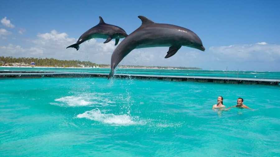 Dolphin Tour & Jozani Forest