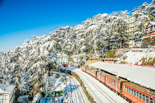 Shimla Sightseeing Tour