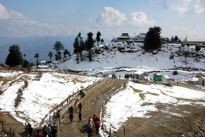 Shimla and Kufri Excursion