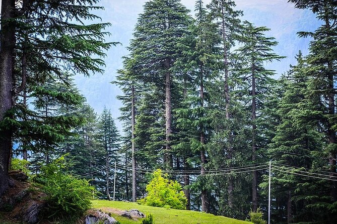 Shimla to Manali a Scenic Himalayan Drive