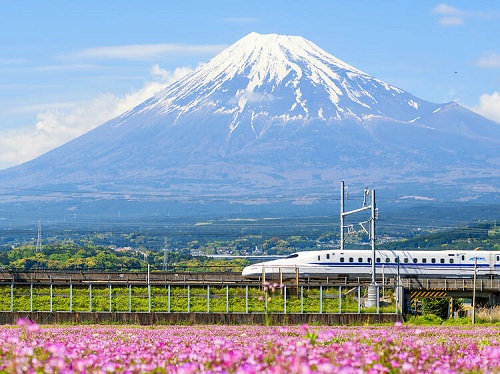 Bullet Train to Osaka | Leisure Evening