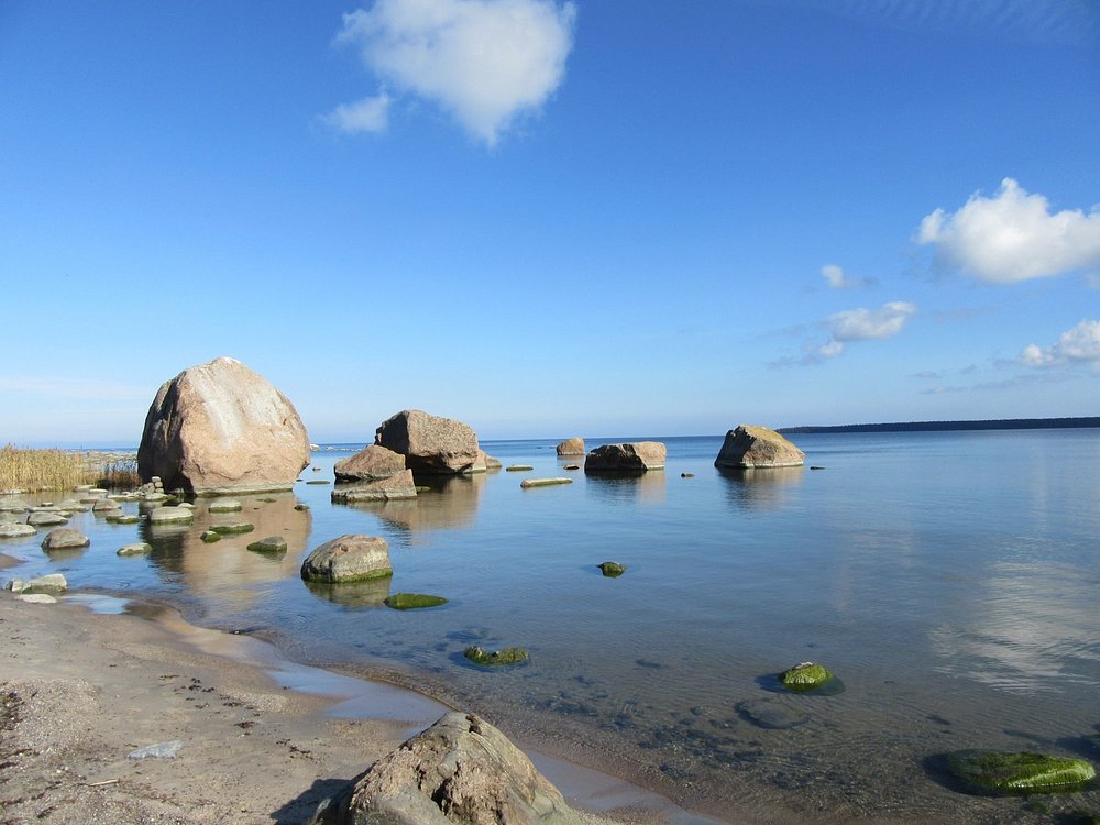 Day Trip to Lahemaa National Park