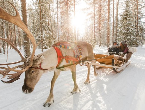 Snow Fun and Arctic Culture