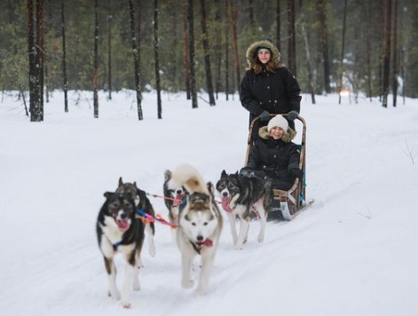 Arctic Wilderness Activities