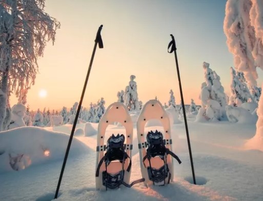 Leisure Day in Rovaniemi