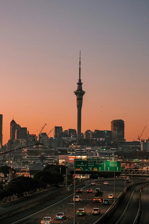 Auckland city tour (Explore Bus) + Skytower + Sealife Aquarium
