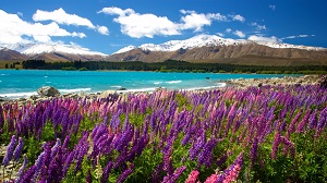 Departure from Christchurch to Queenstown via Mt. Cook