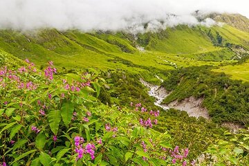 Kullu to Kasol and Transfer to Manali for Leisure