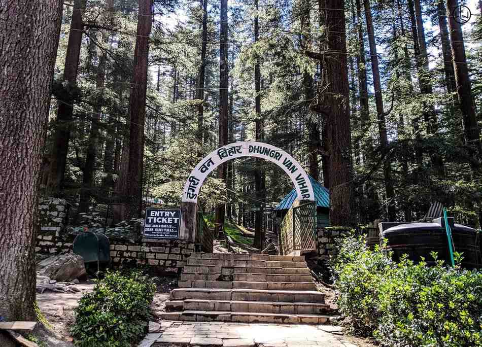 Manali to Shimla via Kullu Sightseeing