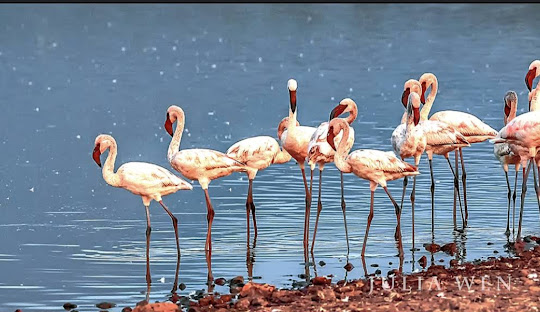 Nairobi – Aberdares 