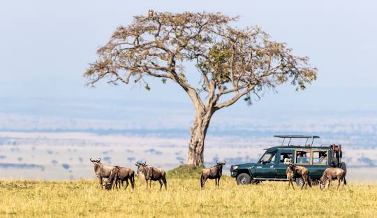 Full day of game-viewing!