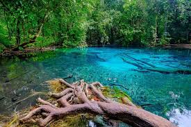 Krabi Rainforest Discovery