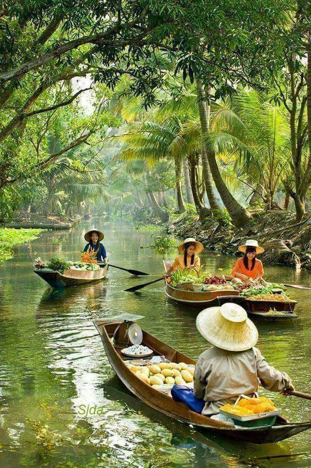 Mekong Delta Tour