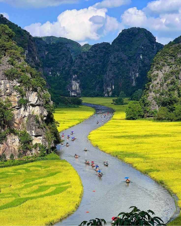 Ninh Binh Day Trip (Hoa Lu & Tam Coc)