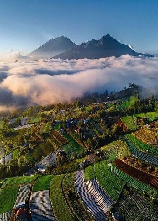 Central Bali Excursion: Kintamani, Tegenungan Waterfall & Bali Swing