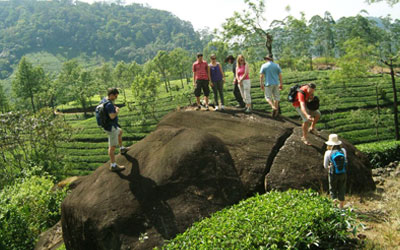 Drive to Thekkady