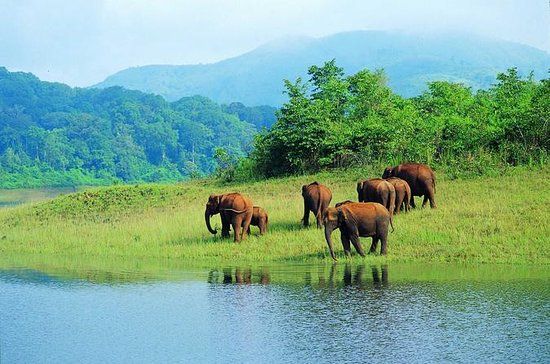 Drive to Thekkady
