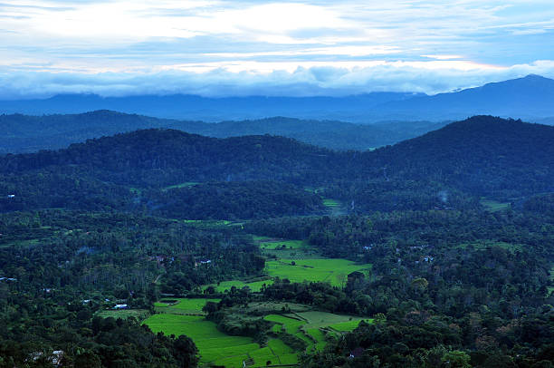 Drive to Coorg (approx. 3.5 hrs)