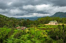 Coorg City Tour 