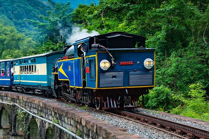 Scenic drive via Bandipur National Park to Ooty