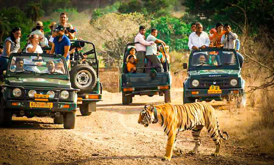 Ranthambore – Agra 