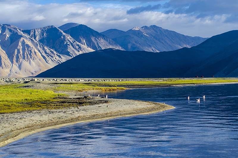 Nubra Valley to Pangong Lake