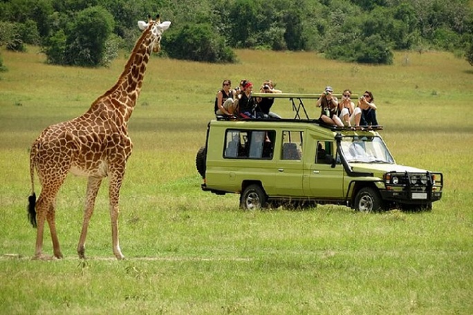 Full Day of Game-viewing 