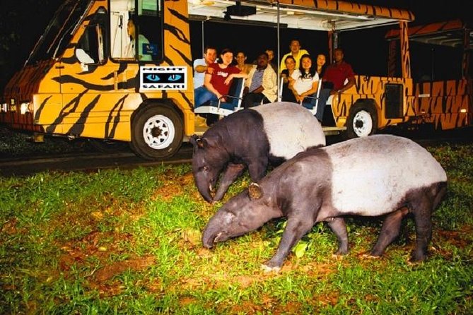 Arrival in Singapore – Night Safari