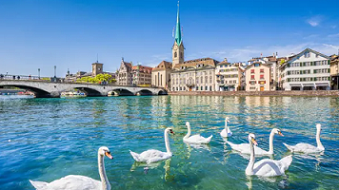 FELDKIRCH - ST. GALLEN - CONSTANCE - STEIN AM RHEIN - RHINE FALLS - ZURICH
