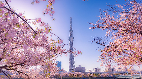 IKAHO - NIKKO - TOKYO
