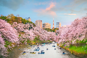 TOKYO