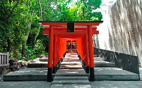 MATSUYAMA - KOTOHIRA - TAKAMATSU - NARUTO – KOBE