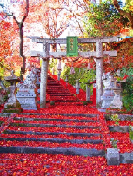 KYOTO
