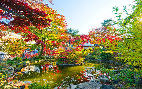 NAGANO - MONKEY PARK - KUSATSU - IKAHO