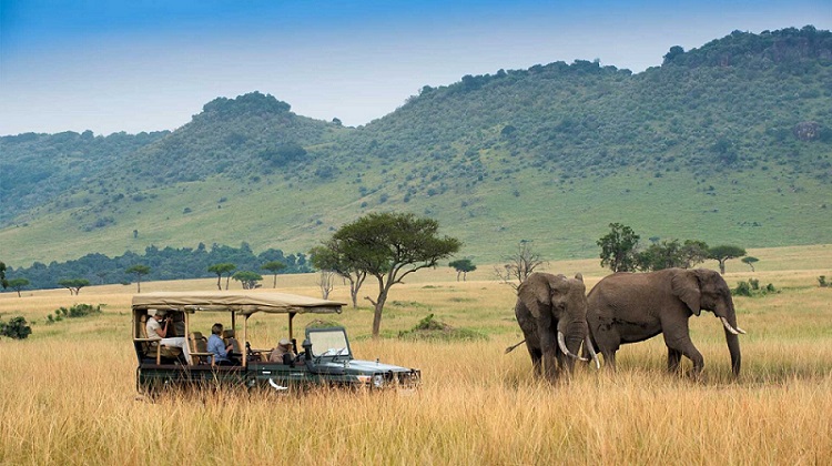 Full day of game-viewing!