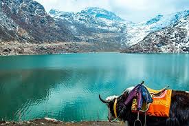 Excursion to Tsomgo Lake & Baba Mandir