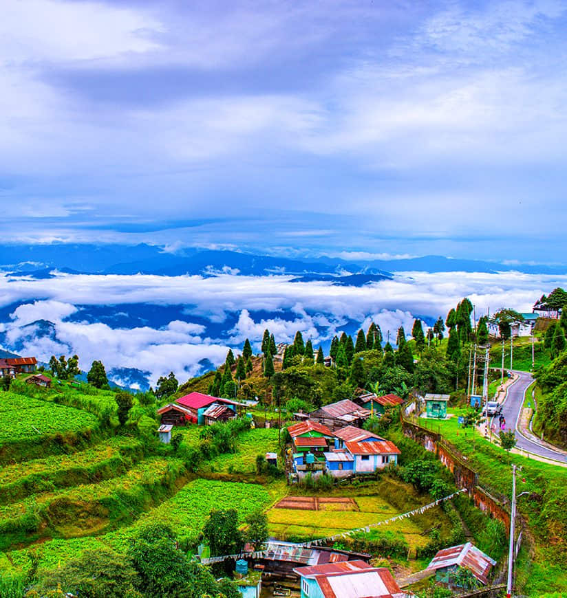 Drive to Darjeeling; En route Scenic Tea Gardens & Evening at Mall Road
