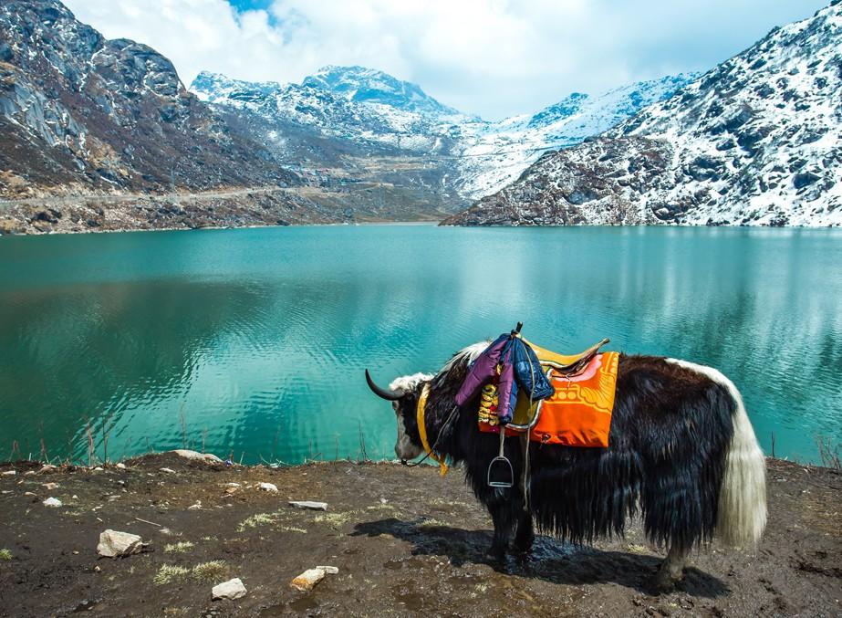 Excursion to Tsomgo Lake and Baba Mandir (53 Kms. / 3 Hrs. one-way)