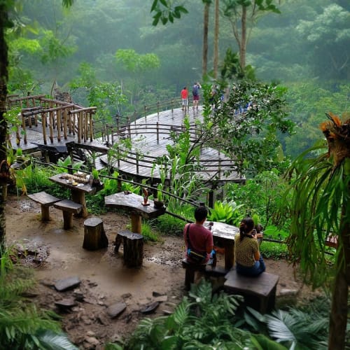 Kintamani, Coffee Plantation, Rice Terrace, Waterfall and Bali Swing